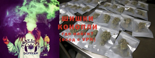 ПСИЛОЦИБИНОВЫЕ ГРИБЫ Балахна