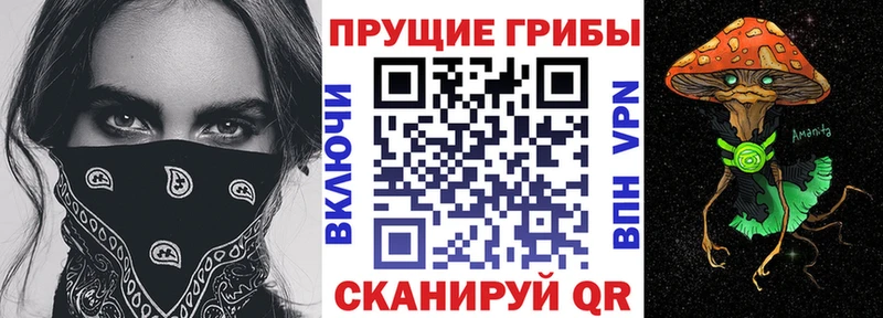 мега вход  даркнет наркотические препараты  Псилоцибиновые грибы Psilocybine cubensis  Онега 