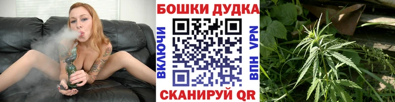 Бошки марихуана гибрид  мориарти телеграм  Онега 